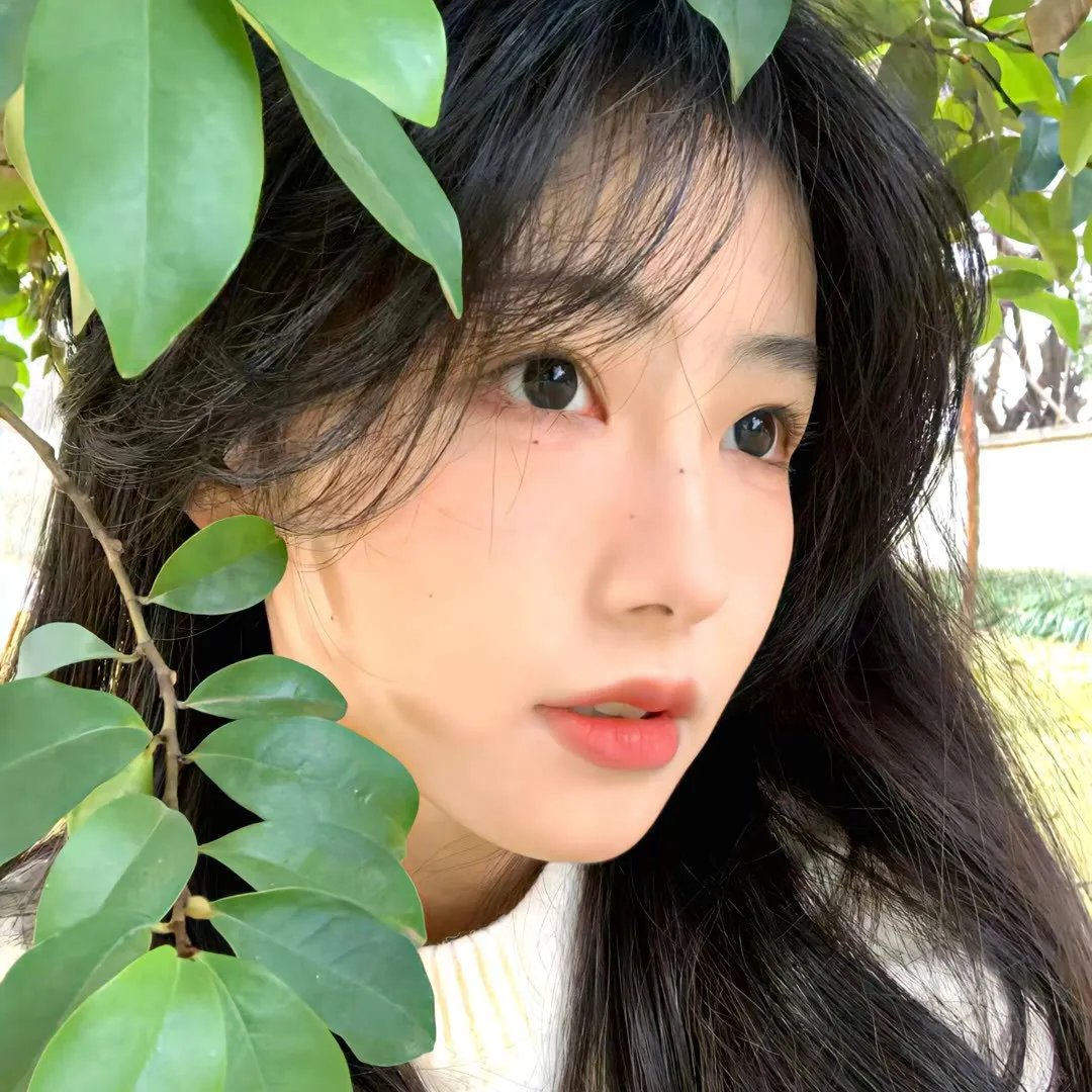 惹不起的世子夫人