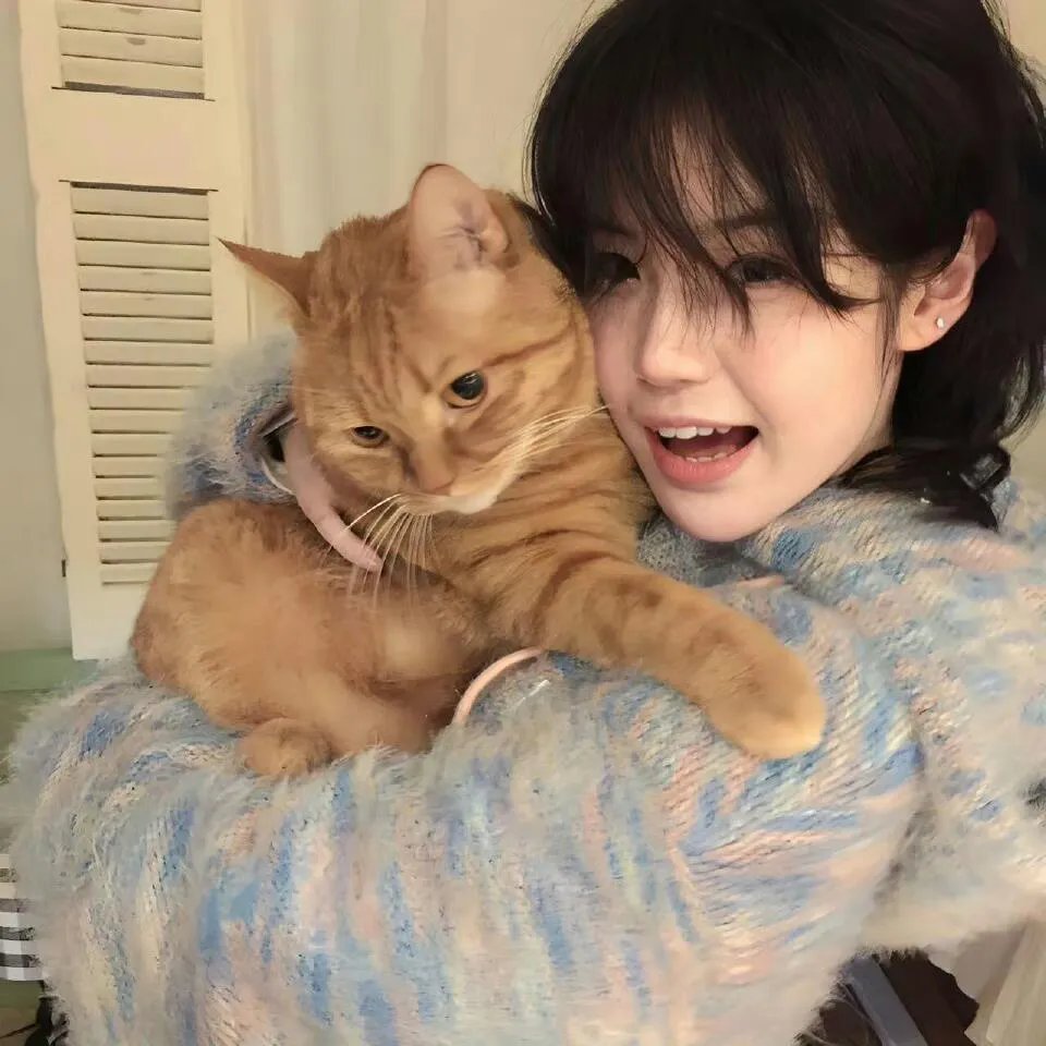 大王不高兴第二季